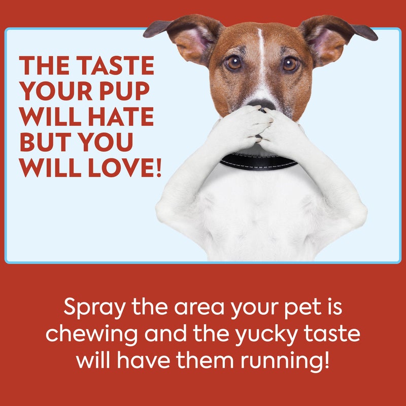 OUT! رعاية الحيوانات الأليفة رذاذ مرير بنكهة الكرز، تدريب الجراء، رذاذ عدم المضغ للكلاب، تدريب الكلاب لتثبيط اللعق والمضغ، غير ملون، تصحيح السلوك، أساسيات الجراء، 32 أونصة - Image 5